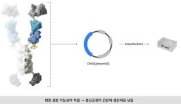 삼중항체? 아니, 삼중표적 융합단백질…혜성처럼 날아온 파노로스