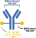 초점 | 리가켐바이오, 어떻게 LCB97 조기 L/O 했을까