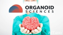 IPO 코앞 오가노이드사이언스는 말했다 동물실험 시대 끝났다