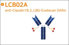 리가켐바이오 자체·기술이전 ADC 후보물질 4개 올해 1상 IND 신청