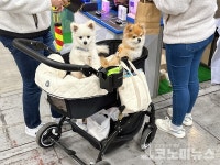 [르포] 서울 펫쇼 개막…캥거루고기 사료부터 DBTI까지