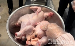 [현장+] 농장부터 식탁까지 신선하게…하림 닭고기 종합처리센터 가보니