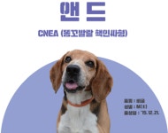 한국탐지견·반려견아카데미학원 | [펫코노미] '은퇴 검역탐지견' 8마리 새로운 가족 찾아요