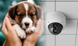 [펫코노미] 반려동물 관련 모든 영업장 CCTV 설치 의무화