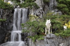 [펫코노미] 댕댕아 마음껏 뛰어볼까?…전국 곳곳 반려견 놀이터 조성