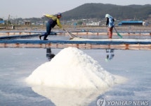 원전 오염수 걱정에 미세플라스틱까지...천일염 수난시대
