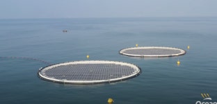 공간 부족을 극복하는 태양광 발전의 창의적인 진화