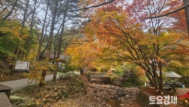 [폰 들고 여행] 가을이 머문 곳, 강촌 ‘구곡폭포’와 ‘문배마을’ 단풍