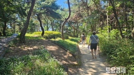 [로드인 포토로그] 여름 힐링, 여주 ‘황학산’ 맨발 트래킹…8만평 수목원은 ‘덤’