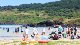 S. Korea recorded highest annual average temperature in 2023 at 13.7 degrees Celsius
