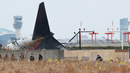 What caused deadly S. Korean plane crash?