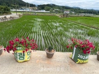 담양군 고서면 덕촌마을, 폐현수막 화분으로 마을경관 조성