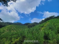 순천국유림관리소, 풀베기사업 추진
