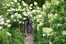 전라남도 제2호 민간정원 죽화경, 제3회 유럽 수국 축제 개최
