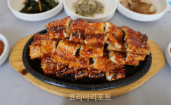 전남 고흥군, 여름 휴가지 추천 TOP 4
