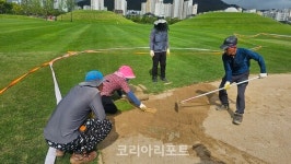 사계절 푸르른 잔디, 순천시 후방산업을 견인하다
