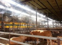 정읍시, 여름철 가축 질병 예방에 총력