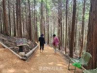 장흥군 억불산 산림욕장 황톳길, 맨발걷기로 인기몰이