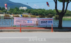 남원시, 반려동물등록 자진신고 기간 운영
