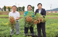 고창군·대성농협, 고창명품 땅콩 수확 시연회 개최
