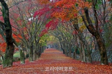 정읍시, 내장산국립공원 한국 관광 100선 선정