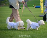 순천시, 댕댕이랑 순천여행...반려동물 친화 관광지로 부각