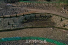 영광군, 정원형 파크골프연습장 개장