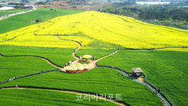 영화 속 한 장면 같은 풍경···고창청보리밭축제 19일 개막
