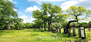 광양시, 5월 나들이 명소 추천…새하얀 이팝꽃 피는 광양유당공원