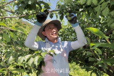 광양시 공직자, 농촌 일손돕기 적극 참여