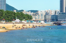 전남도, 웅천친수공원·톱머리·가마미·가계 해수욕장과 별미 추천