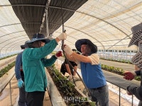 더불어민주당 영광지역위원회, 묘량·백수 일대 수해복구 봉사 나서