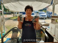 영광군 동방송편떡집 모싯잎 송편, 상사화 축제서 인기몰이