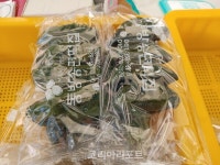 영광군 동방송편떡집 모싯잎 송편, 상사화 축제서 인기몰이