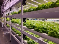 순천시, 도심형 스마트팜 순천시티팜...융복합 공간으로 자리매김