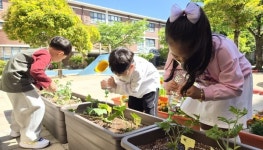애플망고순천왕지 | 순천왕지초 병설유치원 꼬시리 손 '알찬 수확'