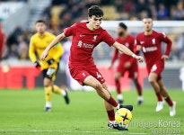 부상 병동 뻥 뚫린 리버풀 중원, 대안은 18살 원더보이 바이체티치다 [춘추 EPL]