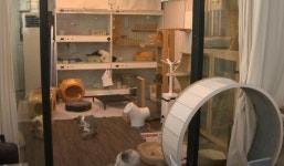 성동구, 취약계층 반려동물 안심 돌봄 지원 우리동네 펫위탁소 운영