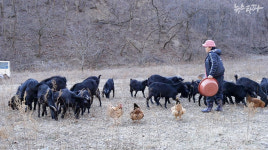 영화 <월성>그후, 울산이 월성이다