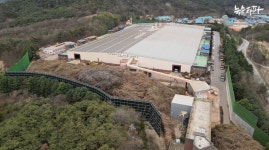 [삼림파괴 주식회사④]목재펠릿 공장 분진 심각, 실내까지 침투