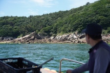 [KINN] 발전소 배출 물질 추적①  생명이 사라진 갯바위