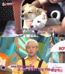 ‘동물농장’ 설 수도 없던 강아지의 기적, 토니안 “좋은 가족 만나길”