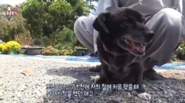 ‘동물농장’ 절밥 먹는 견공 초심이, 매일 가출하는 이유는?