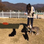 공효진, 반려견들과 함께한 털털한 일상[SNS★컷]