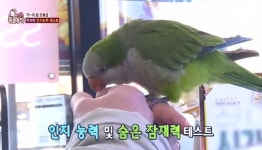 ‘동물농장’ 더 가르칠 게 없는 똑똑한 앵무새 딱지의 한계는?