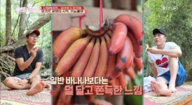 ‘배틀트립’ 양재웅, 그린망고+소금 먹방 “단짠단짠 느낌”[결정적장면]