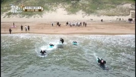 ‘어서와 한국은’ 캐나다 5인방, 제주도 1.5m 통갈치조림에 깜짝[오늘TV]