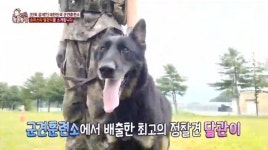 ‘동물농장’ 정찰견 달관이 떴다, 청주 여중생 실종사건 해결사 ‘늠름’