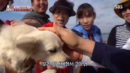 ‘동물농장’ 죽도 홍보대사 밍키, 섬 가이드에 식당 홍보까지