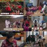 ‘자연스럽게’ 은지원 김종민, 산타로 변신한 사연..“하와이 항공권까지”